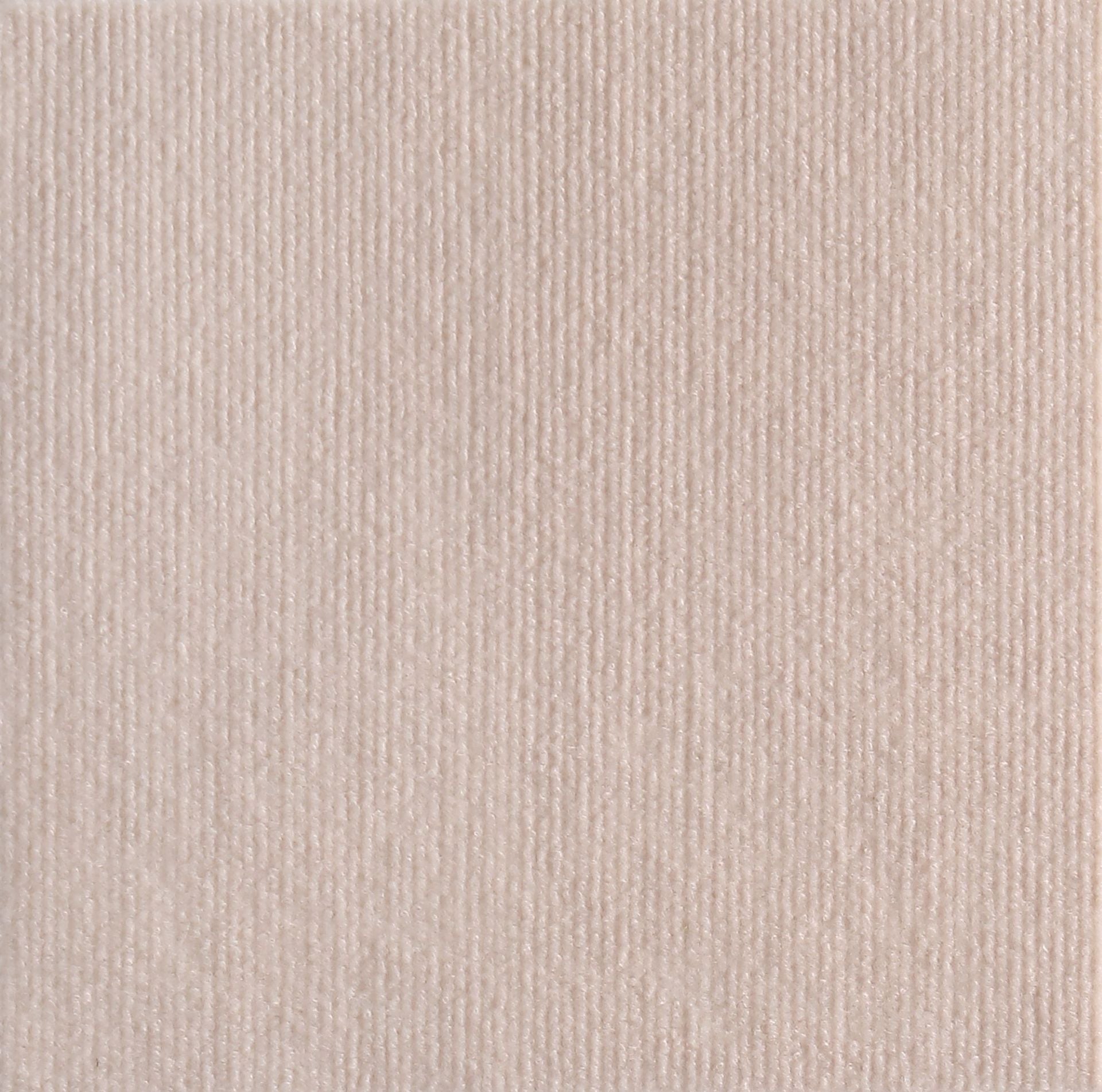 Klorebeskyttelse for katter